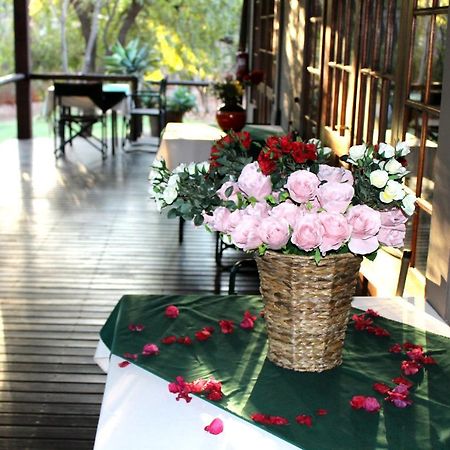 Tuskers Bush Lodge B&B Hartbeespoort Dış mekan fotoğraf
